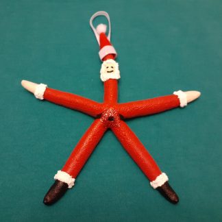 Skinny Santa Starfish